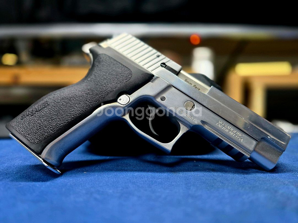 시그 P226 RAIL E2 GUARDER 판매합니다--1