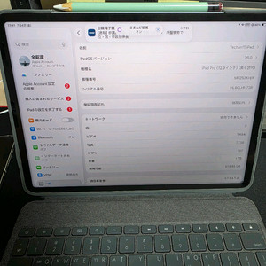 아이패드 프로 12.9 6세대 M2 1TB 셀룰러+애플