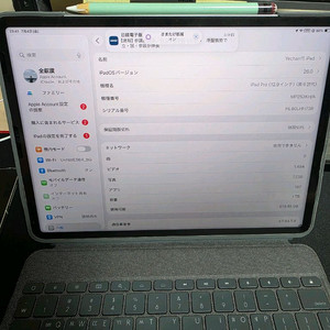 아이패드 프로 12.9 6세대 M2 1TB 셀룰러+애플