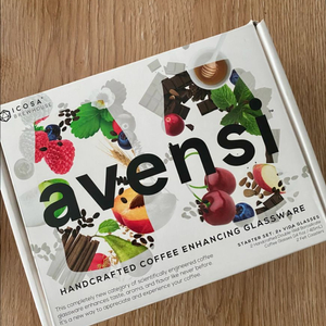 아벤시 비다 글라스 (AVENSI SOLO VIDA)