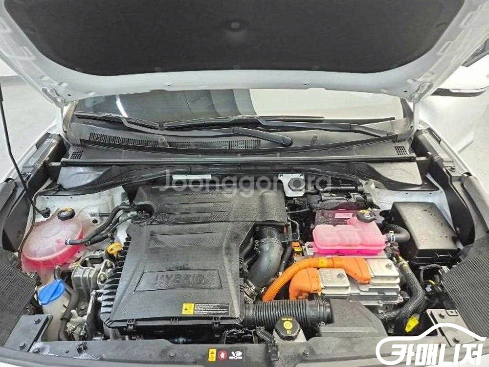 [기아]더 뉴 니로 1.6 HEV 노블레스 (5인승)--4