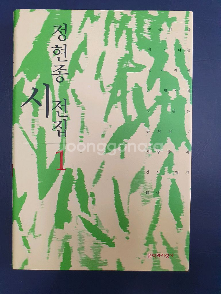 정현종 시 전집(1,2권)전2권--0