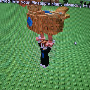 그로우 어 가든 직접뽑은 골든구스 팔아요!