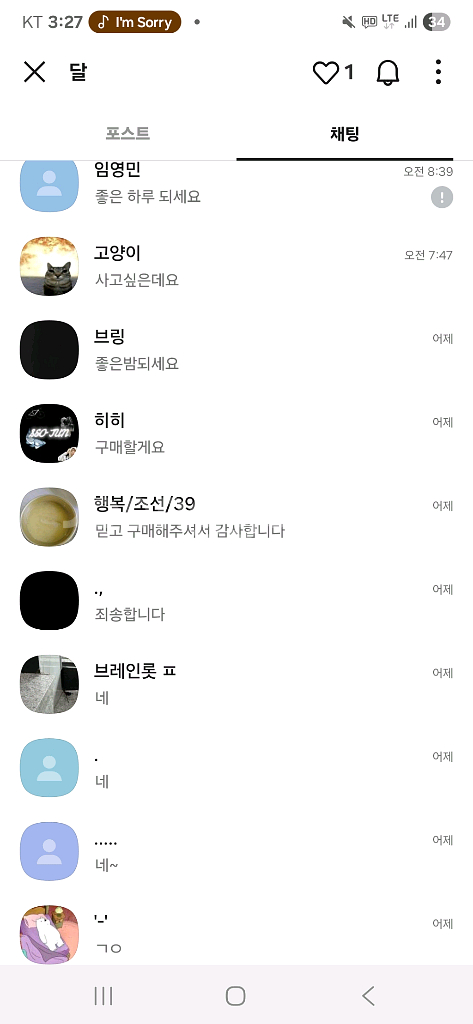그어가 신규펫 황금구스 ㅍㅍ--4