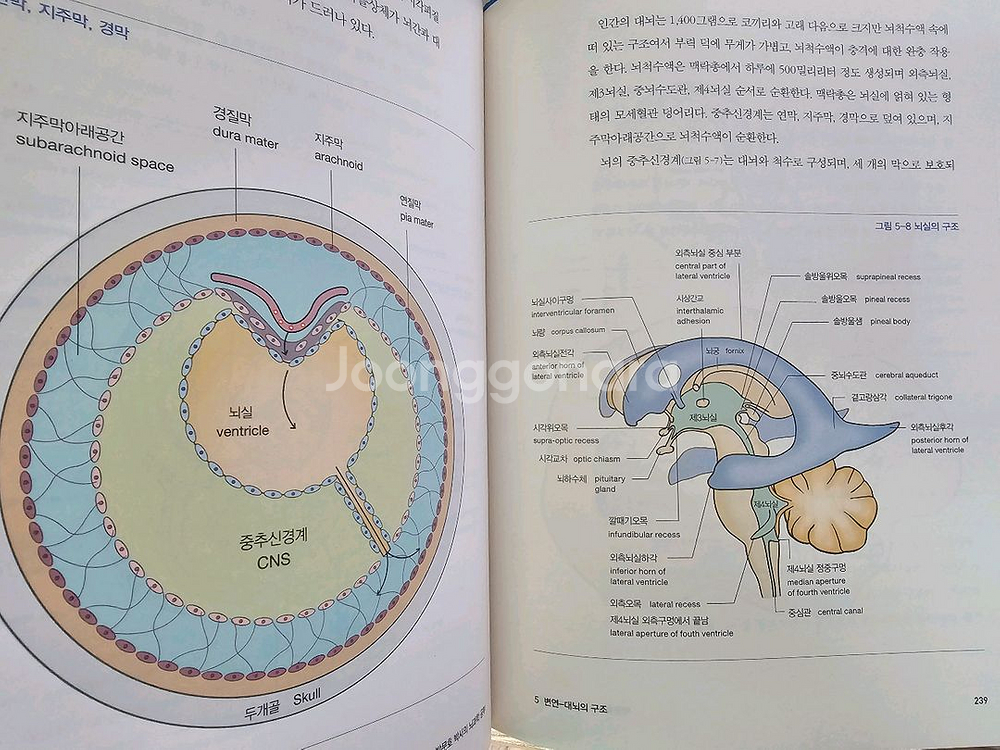 박문호 박사의 뇌과학 공부--2