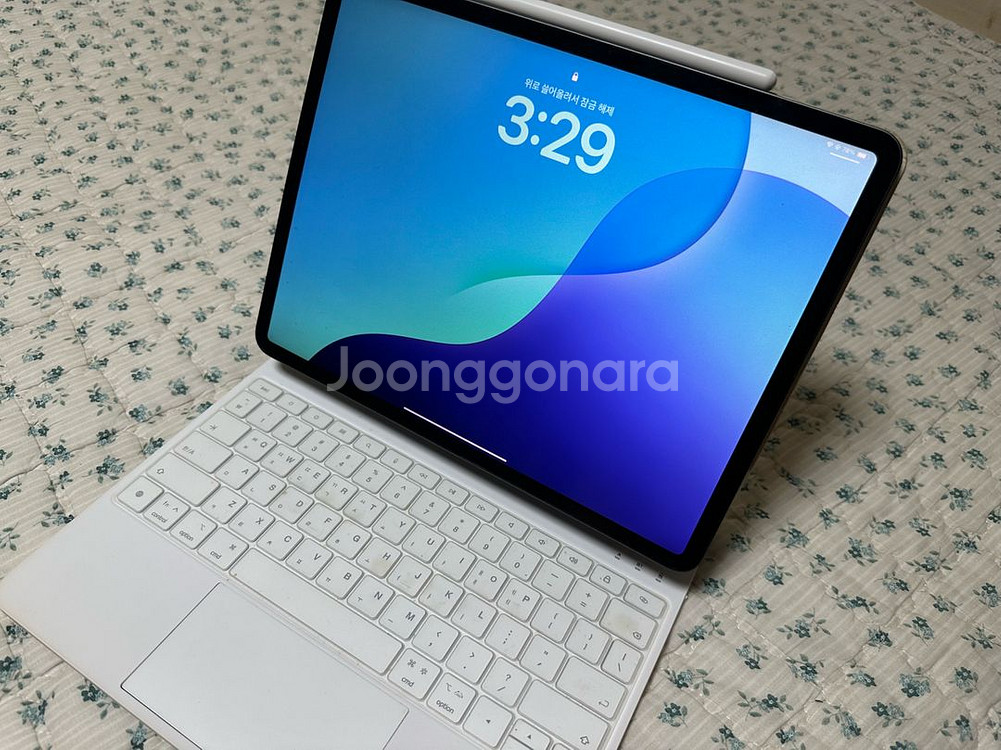 아이패드 프로 12.9 (3세대) 256gb (+애플펜--0