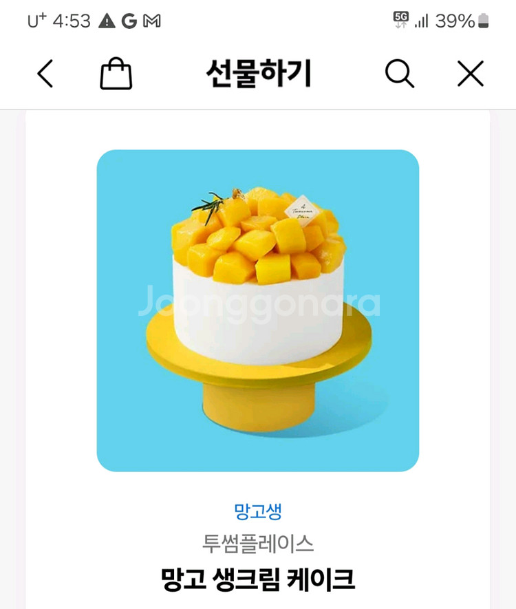 투썸 망고 케익--0