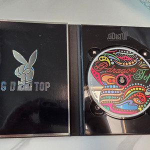 지디앤탑 앨범