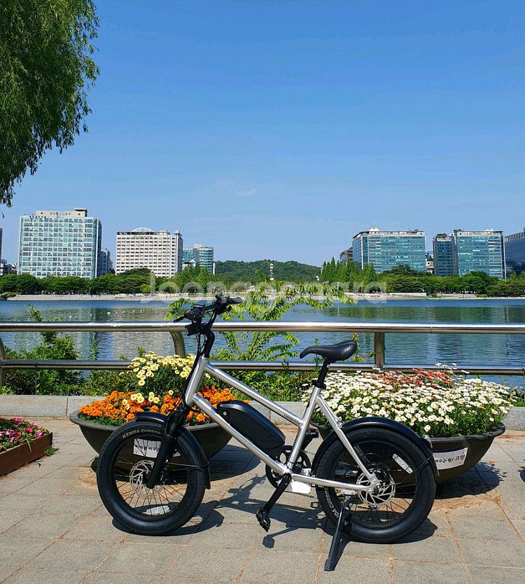 커넥티드 카브에픽 스피드라인 알루색상 A급 333km--0