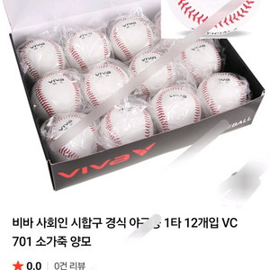 사회인 야구공