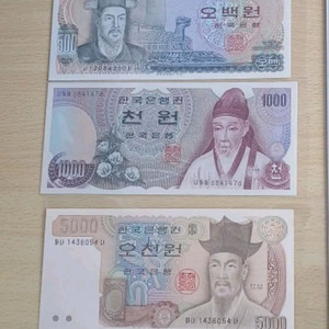 구건 지폐들