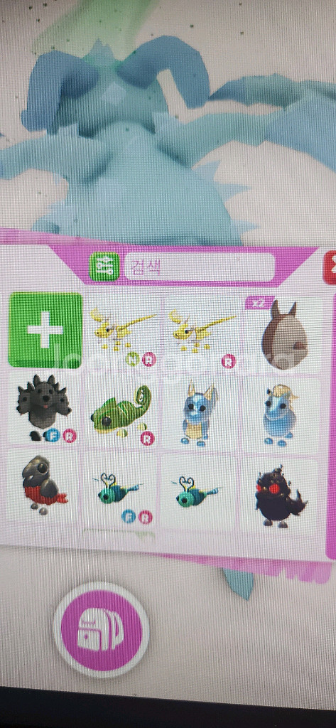 입양하세요 펫 팝니다--0