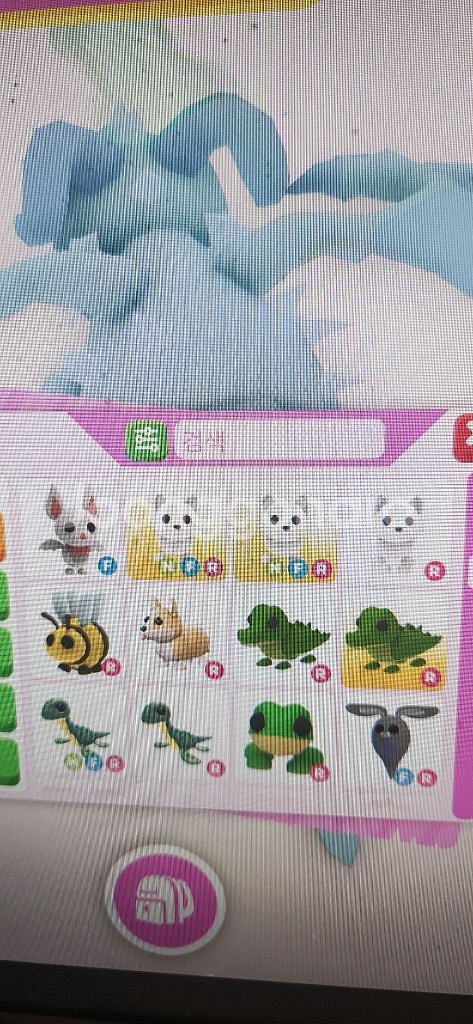 입양하세요 펫 팝니다--3