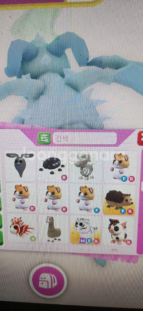 입양하세요 펫 팝니다--4