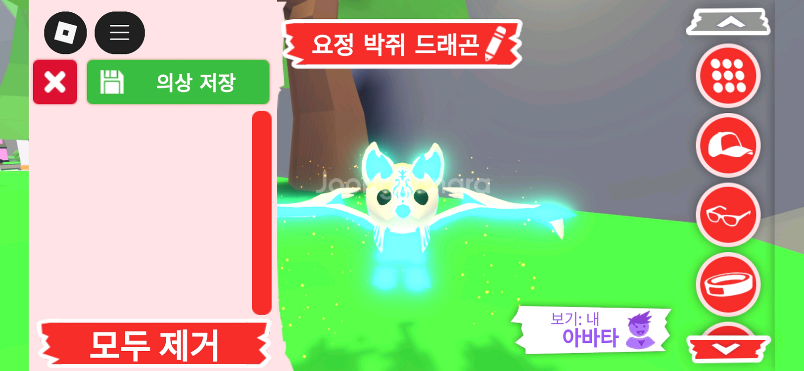 입양하세요 펫 메가네온 요정 박쥐 드래곤(메요박)팝니다--0
