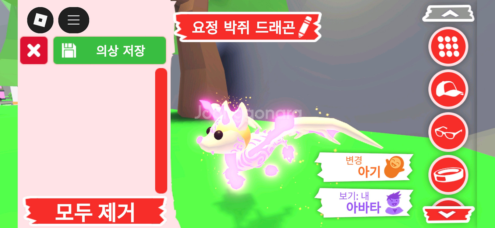 입양하세요 펫 메가네온 요정 박쥐 드래곤(메요박)팝니다--2