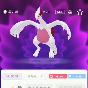 포고산 이로치 루기아 포고마크