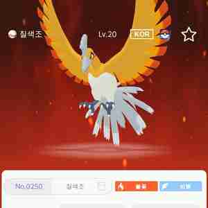포고산 이로치 칠색조 포고마크
