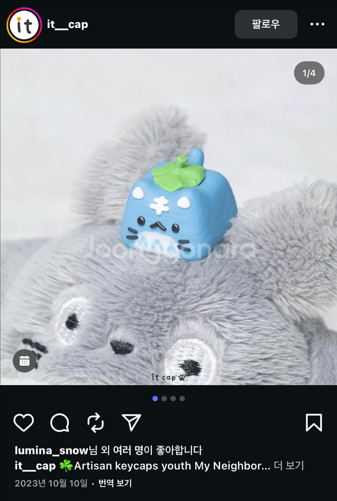 itcap Leon 아티산 키캡--1