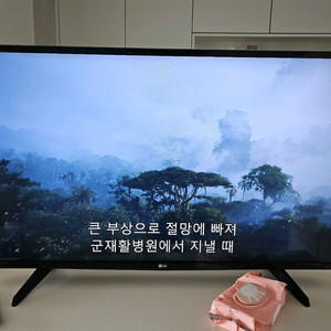 LG 43MN59HM LED 모니터