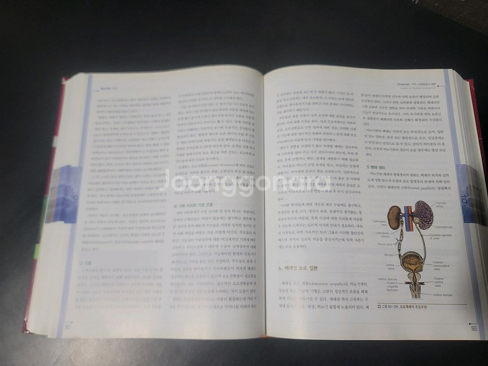 최신아동간호학 I 아동간호학(미사용)--5