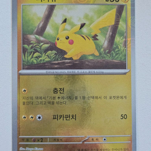 포켓몬카드 피카츄 마스터볼