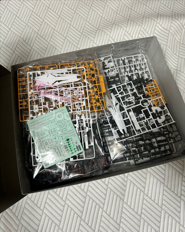 RG 뉴건담 더블 핀 판넬 타입 사이드F 한정판 판매--1