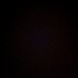 입양하세요 메가