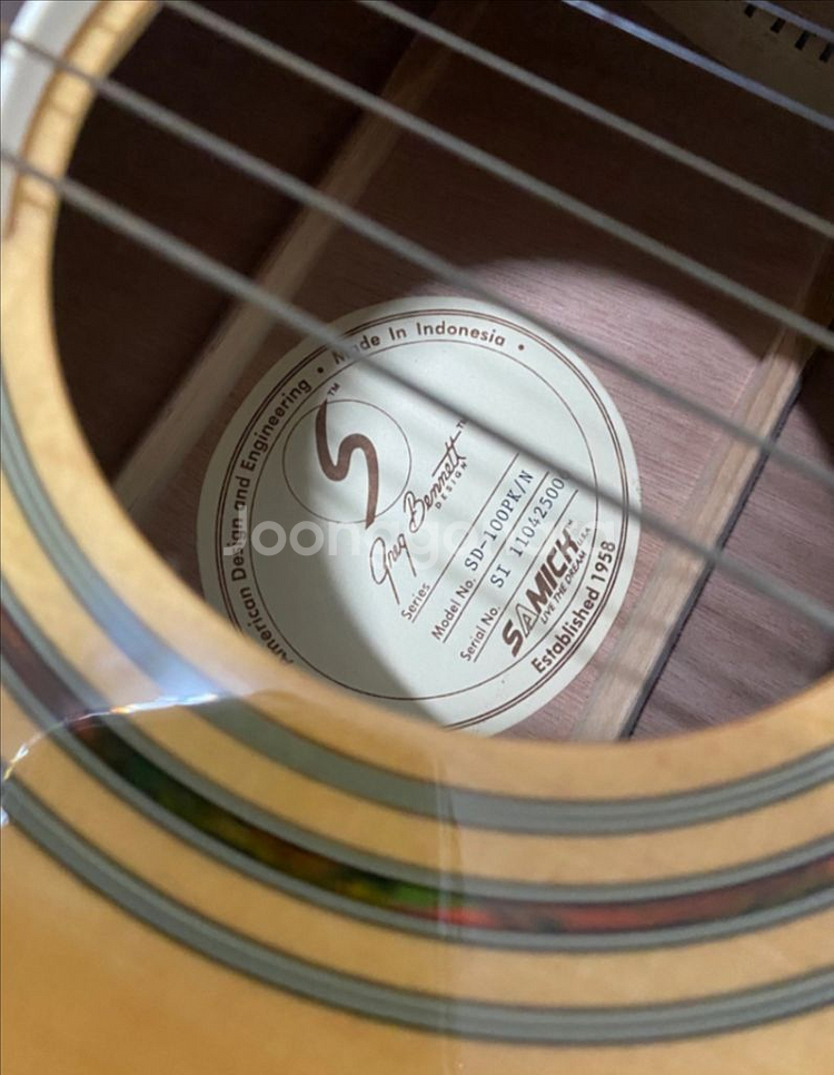 Greg Bennett SD-100PK 기타--0