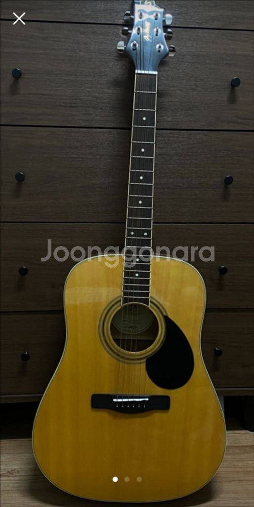 Greg Bennett SD-100PK 기타--2
