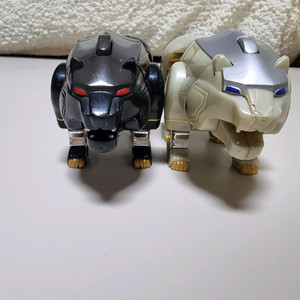 정글 포스 팝니다 흑곰백곰