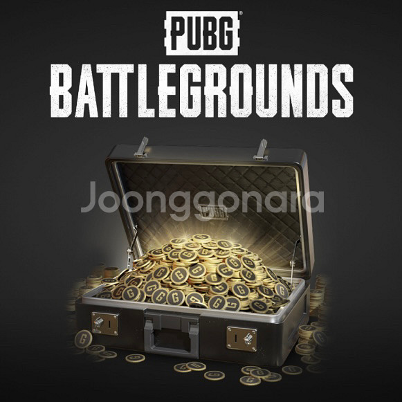 배틀그라운드 지코인 G코인 배그 스킨코드 배그 G코인--0