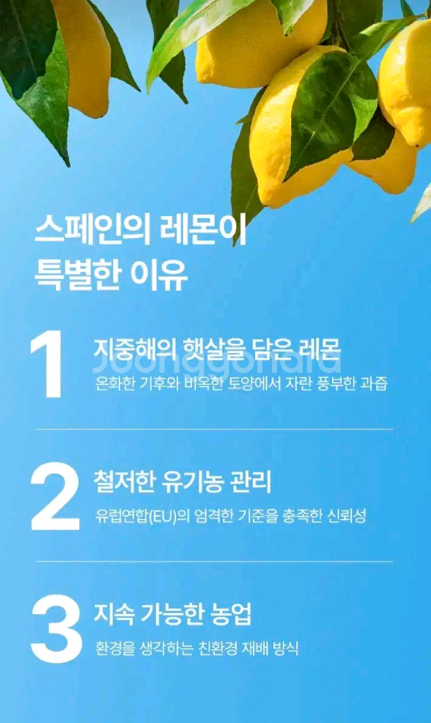 데일리힐 유기농 레몬즙--5