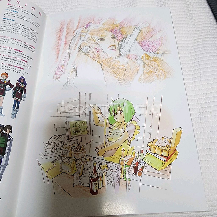 (일본서적) 극장판 마크로스 프론티어 허공가희 팜플렛--3
