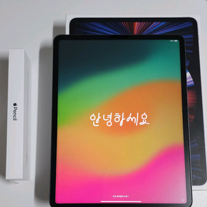 (새상품급) 아이패드 프로 5세대 2TB 12.9인치