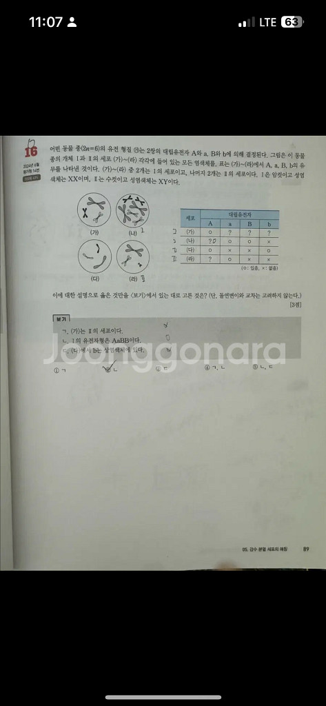 백호 2026 상크스 스킬편/문제편/미니스킬북--2