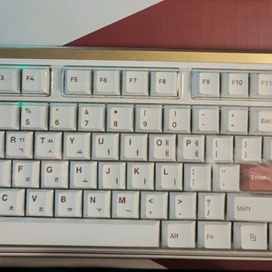 COX cnk87bt pro 무접점 래피드트리거 키보드