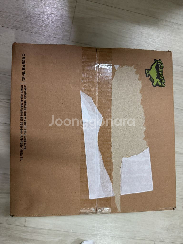 기간토 사우르스--0