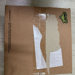 기간토 사우르스