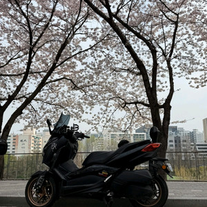 21년식 xmax300 출퇴근용