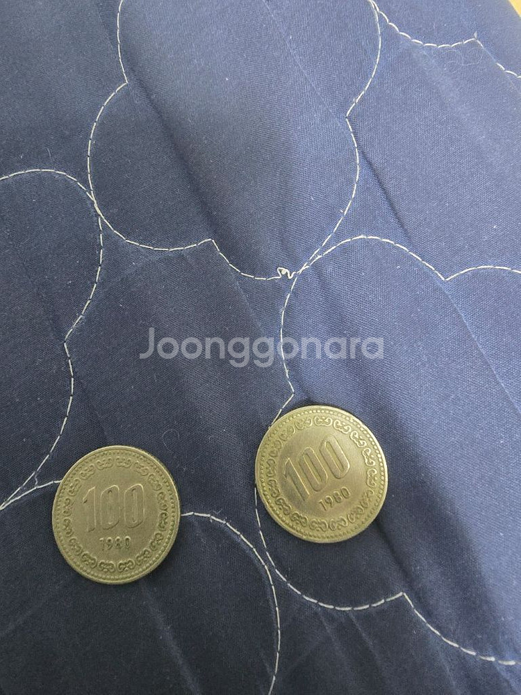 1980년도 100원 동전 판매--0