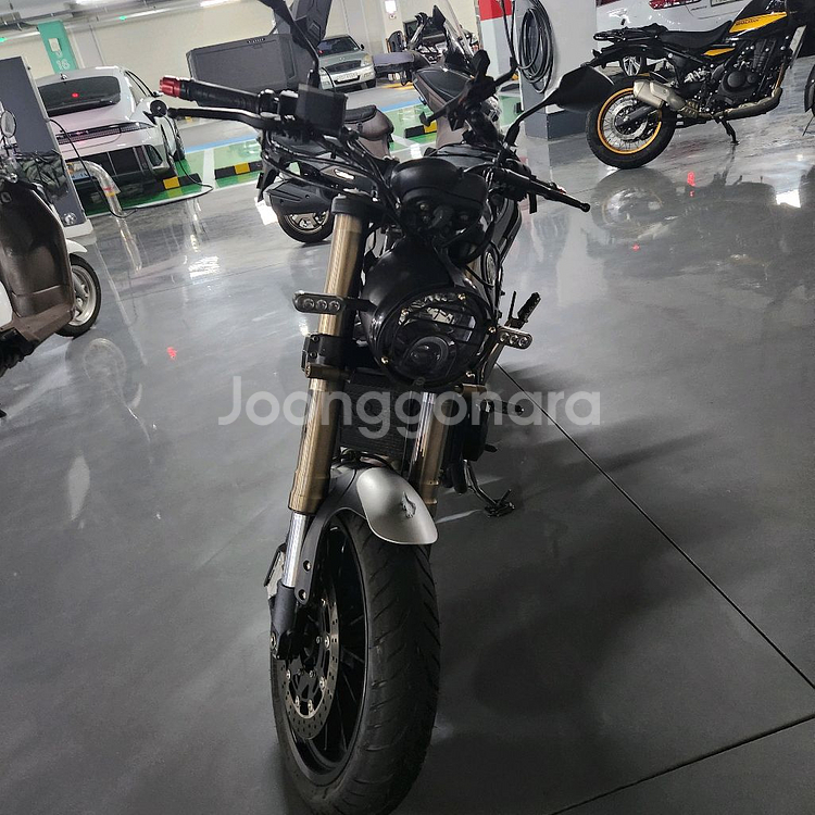 마시막 으로 싸게 레온치노500cc판매합니다--0