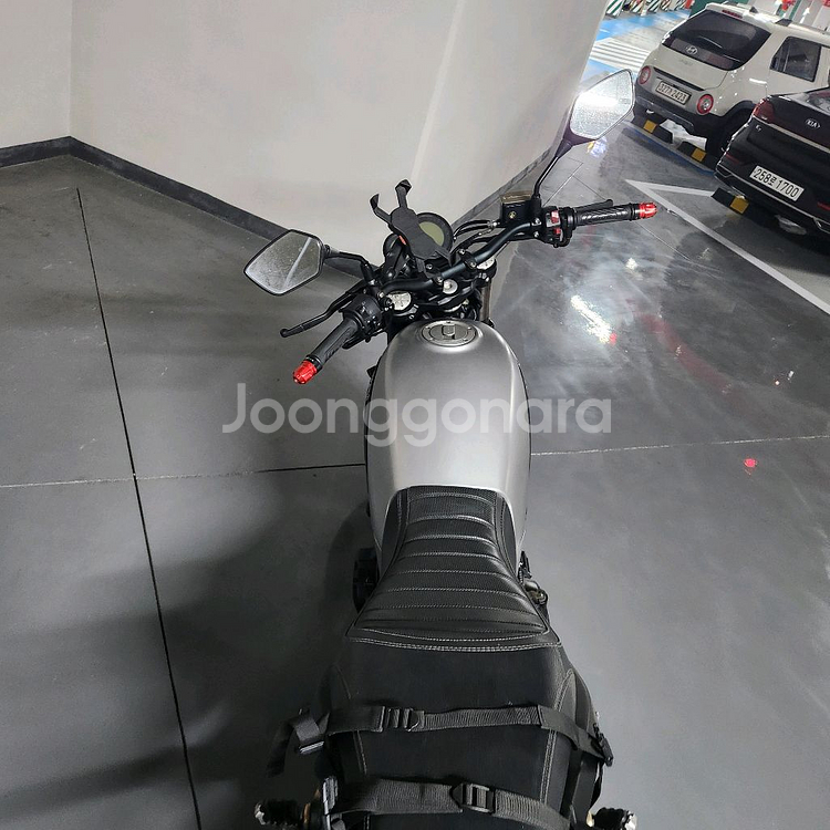 마시막 으로 싸게 레온치노500cc판매합니다--3