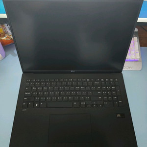 LG 2024그램 17 코어Ultra5 512/16