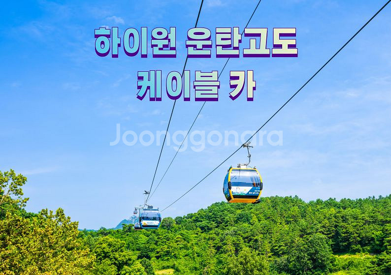#하이원 워터월드 입장권/구명조끼--1