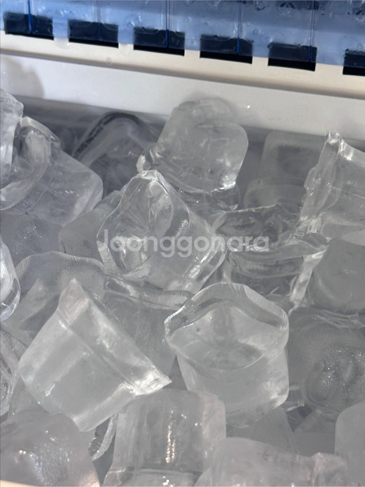 커피 카페 얼음 아쿠아 글로리 제빙기 GL-60D--2