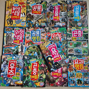 아동도서 최강왕 대백과 시리즈 13권