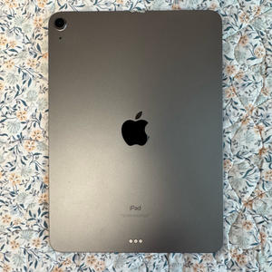 iPad Air 아이패드 에어 4세대 (64GB/스페이