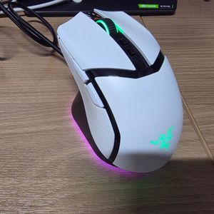 레이저 코브라 프로 화이트 정품
