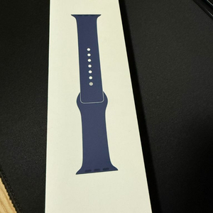 애플워치10 정품 스트랩 파랑 46mm S/M 사이즈